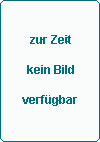 VDI-Gesellschaft Energietechnik - Blockheizkraftwerke �99
